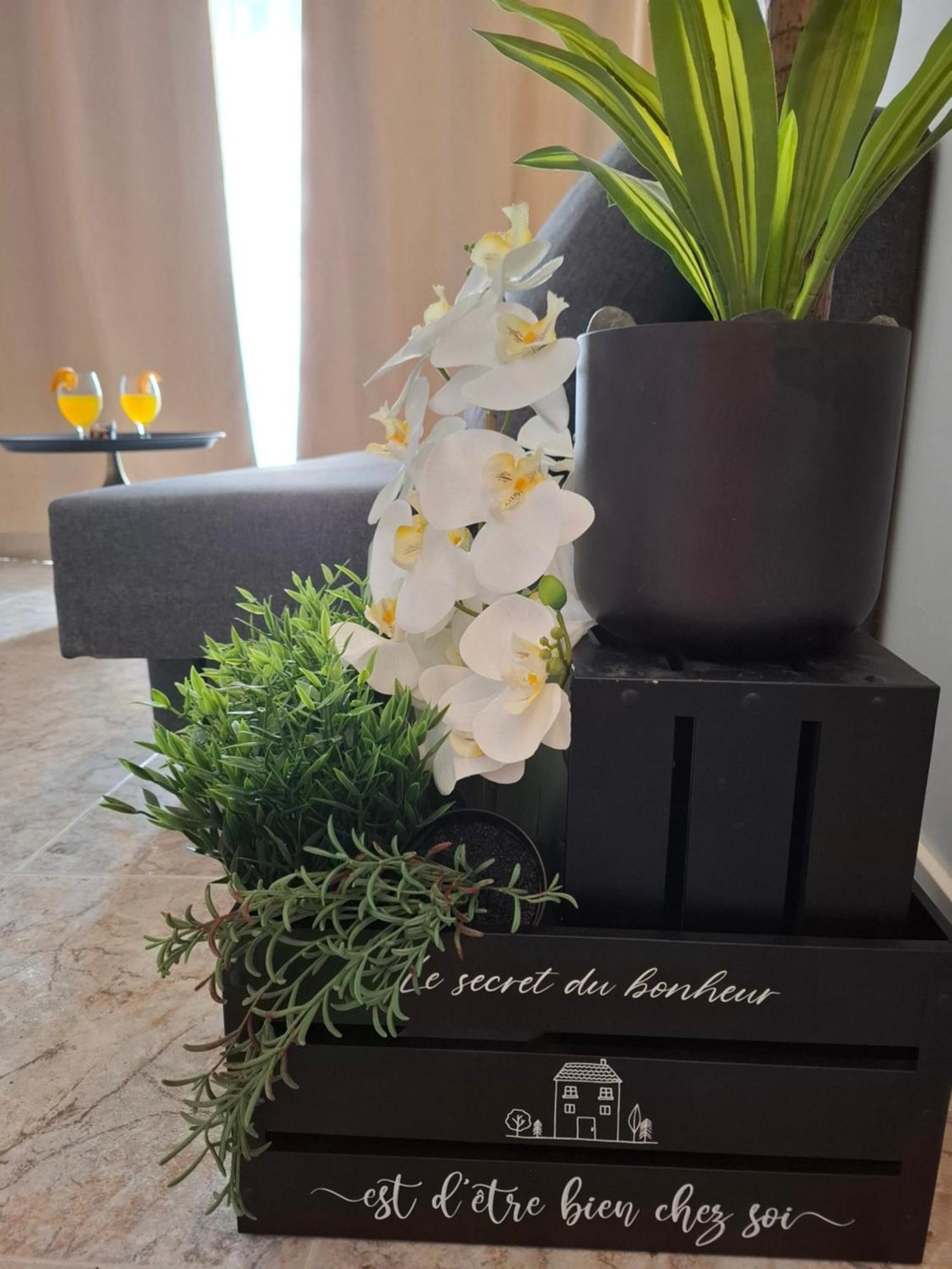 Golden Solymar Apartment มาสปาโลมาส ภายนอก รูปภาพ